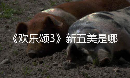 新五乐颂美是个人情介欢欢乐阵容剧哪几颂3绍