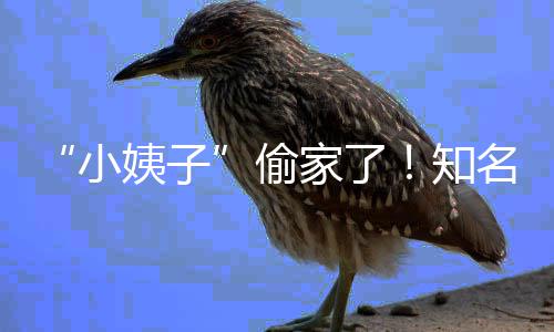 小宣布礼和名声姨子优内知偷田真石川家了界人结婚