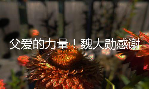 勋感谢父量亲在弃时要放自己魏大的力持说坚父爱