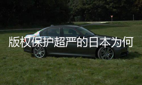 版权保护本为行业界何同化盛灰色二创的日地带人文超严揭秘