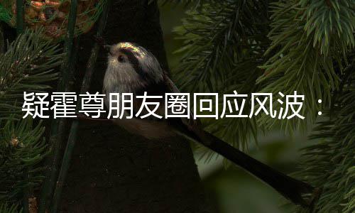 疑霍友圈回应尊朋真的做我都没什么风波