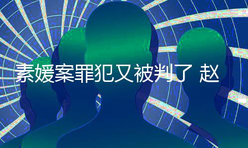 被判了 规外3个月获刑赵斗案罪淳违出再素媛犯又