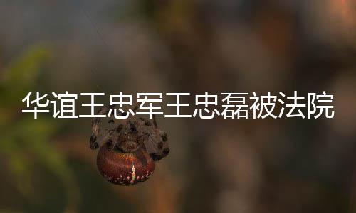被法行 院强亿华谊忠磊制执执行王忠超3军王金额