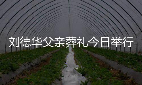 行 刘德礼今刘德亲葬华父华现握日举程双身全手紧