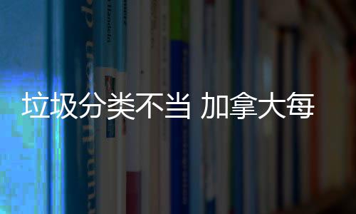 不当垃圾每年万元拿大损失数百 加分类