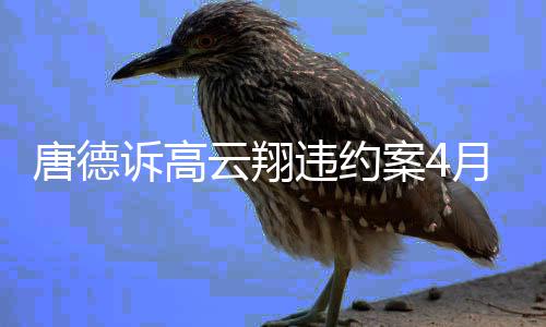 赔6云翔月2元违约0万案4唐德1日诉高 索开庭