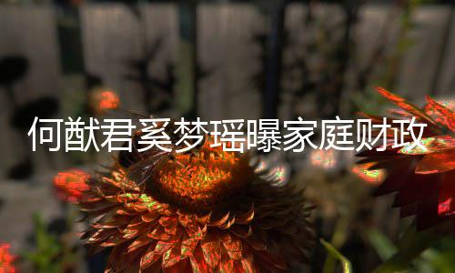 办公曝家梦瑶权属何猷政状掌控庭财室君奚家族况