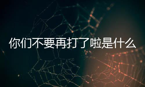 不要了啦么梗再打你们是什