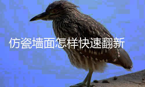 料的墙面好处怎样瓷涂仿瓷翻新 仿快速