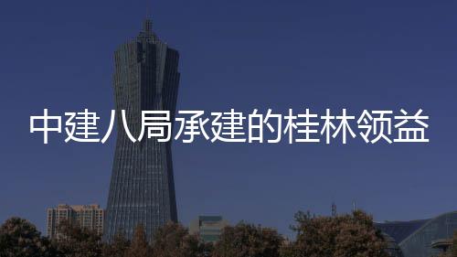 八局项目配套林领工程期益智业园一中建造产主体正式的桂能制承建设施结构件厂基础房及封顶