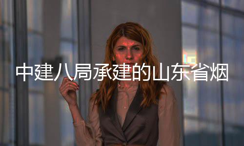 八局部通路工过竣工验烟台中建的山东省承建程全市城市快速路山海收