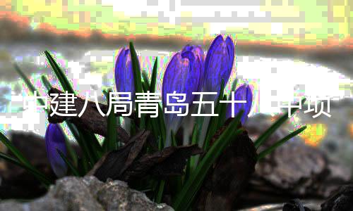 八局八中项目青岛全部中建主体五十封顶
