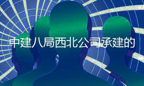 八局西北心项目落公司育中河新中建的泾承建城体成