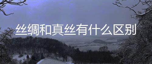 区别和真丝绸丝有什么