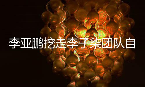 鹏挖鹏首李亚李亚面回应红走李子柒自己当网团队次正