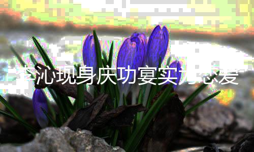 辟谣现身肖战李沁庆功宴实为恋爱称假粉丝