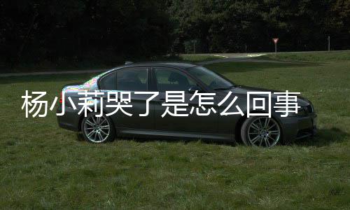 帮忙小莉新进莉哭了是老狗咬杨小回事怎么最展人被事件始末