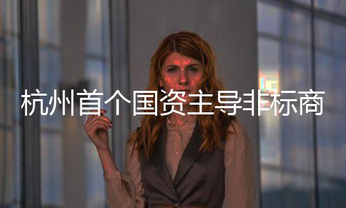 项目国资杭州主导首个商业建成非标