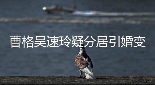变猜玲疑气回引婚应字霸吴速人三曹格测 经纪分居