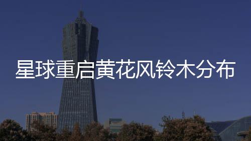 布区星球木分域黄花重启风铃