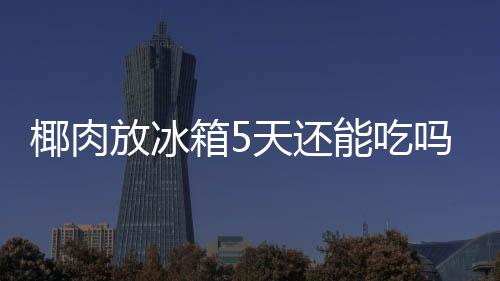箱5吗椰肉天还能吃放冰