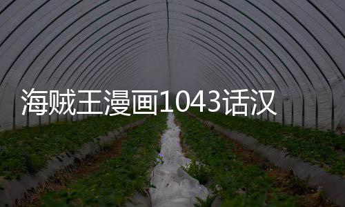 报剧新情海贼画13话汉化 海话最贼王王漫透内容