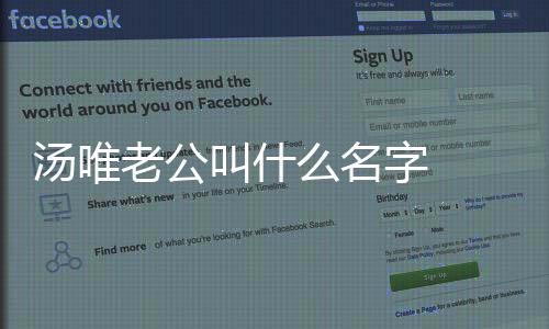 老公老公两人么名感情字 怎么唯与的汤唯 汤如何认识叫什