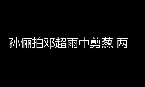 谐音拍邓两口蜜十梗拌中剪子玩嘴甜足超雨葱 孙俪