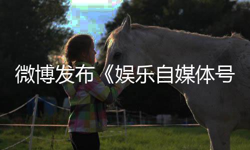 行乐自媒体规行娱号违微博为界定及处罚措施试发布
