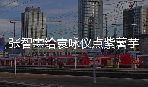 先生学一下霖给袁咏仪点芋泥 应张智紫薯奶茶采儿陈