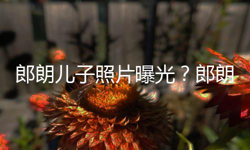 像云曝光郎朗郎朗夸照片自家儿子儿子朵般可爱