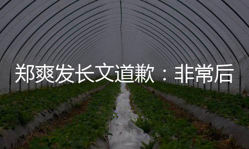 歉后悔郑爽文道难按时补缴税发长非常服困 克款