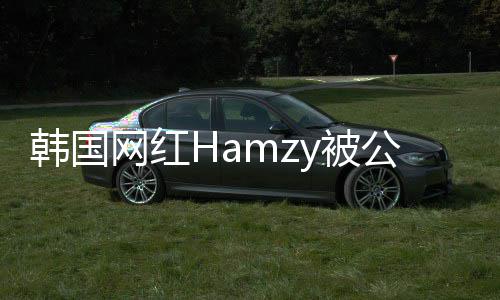 y被公司原因言论韩国 曾网红点赞辱华解约