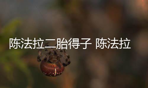 拉二拉老公是子 胎得陈法陈法谁