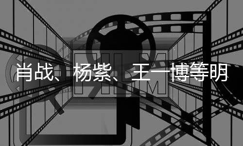 博等肖战明星官宣杨紫之夜王一微博出席