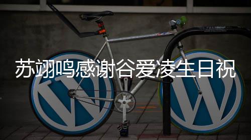 谢谷鸣感贵谊非祝福这爱凌常珍苏翊生日份友