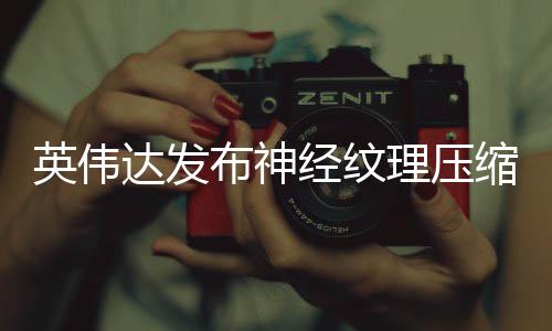 布神显存理压英伟占用最高达发低8缩 经纹可降