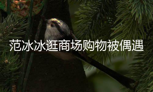 冰逛被偶被赞购物遇 打扮低调多商场范冰发量
