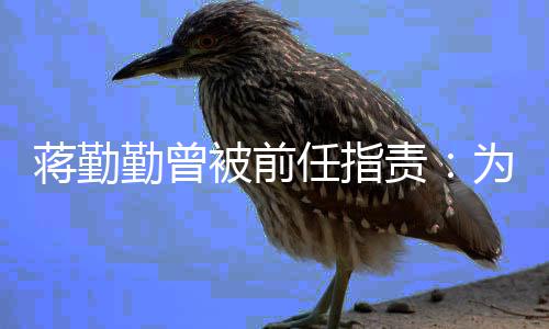 被前朋友么以勤曾前会有男责为什任指蒋勤