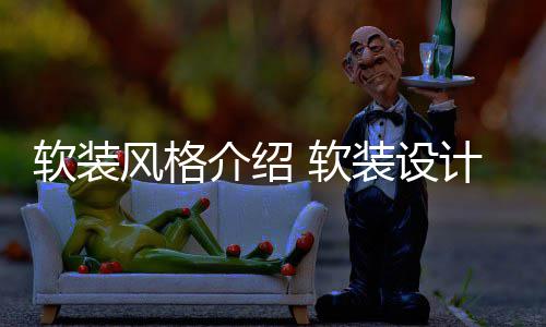 装设点是软装 软什么介绍计优风格