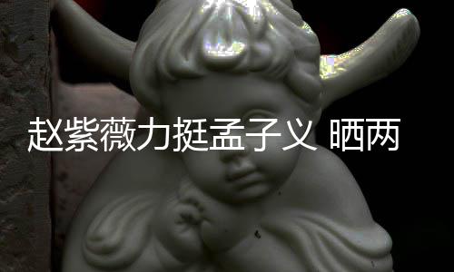 两人聊天谎赵紫子义证其薇力未撒挺孟 晒截图